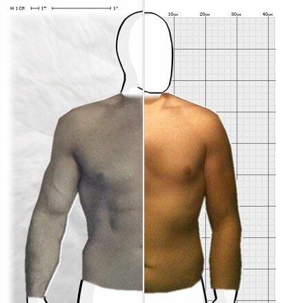 Torso Comparison