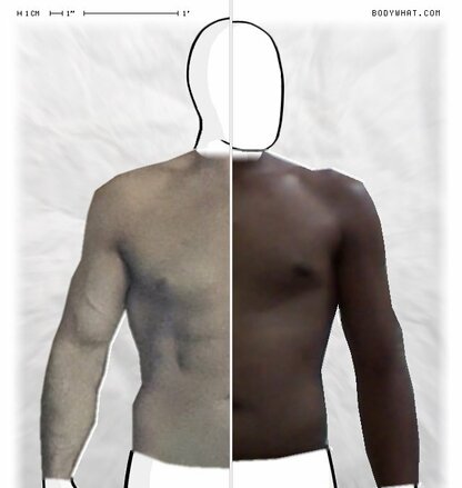 Torso Comparison