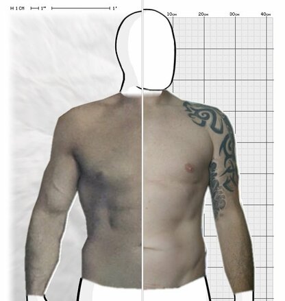 Torso Comparison