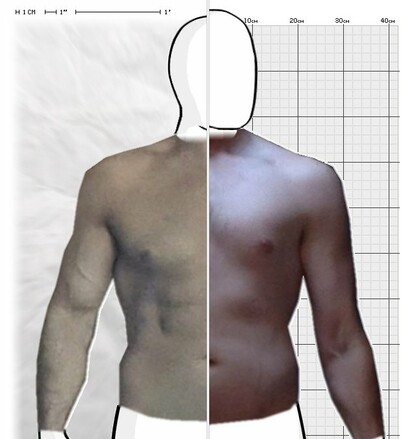 Torso Comparison