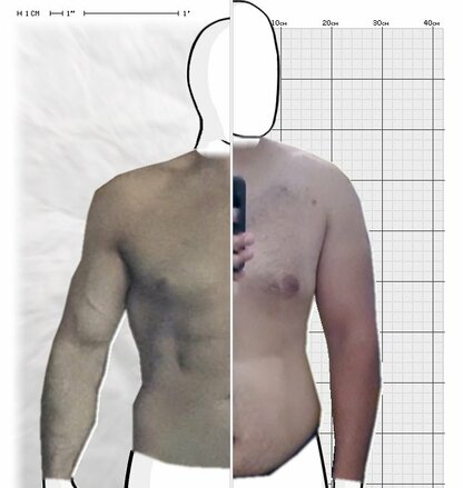 Torso Comparison