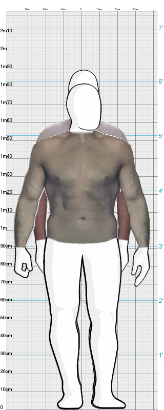 Full Size Comparison