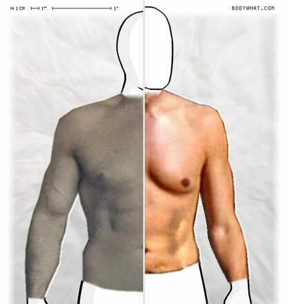 Torso Comparison