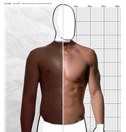 Torso Comparison