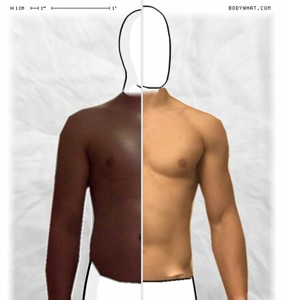 Torso Comparison