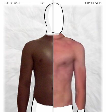 Torso Comparison