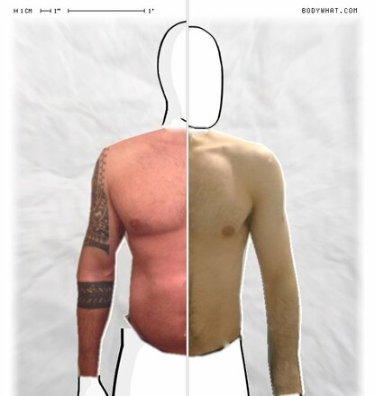 Torso Comparison