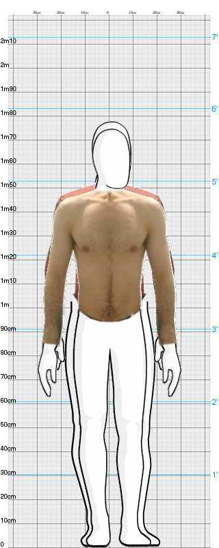 Full Size Comparison