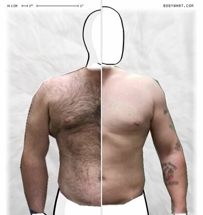 Torso Comparison