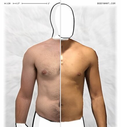 Torso Comparison