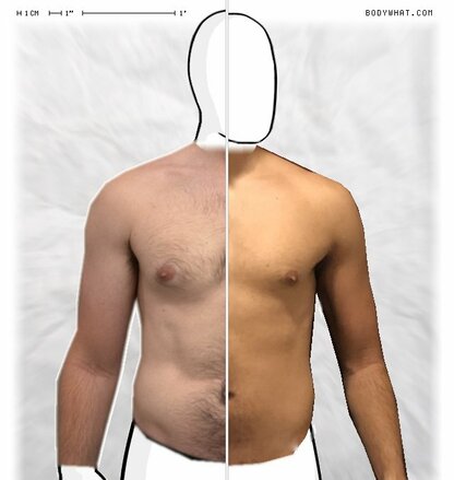 Torso Comparison