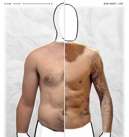 Torso Comparison