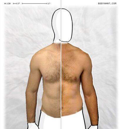 Torso Comparison