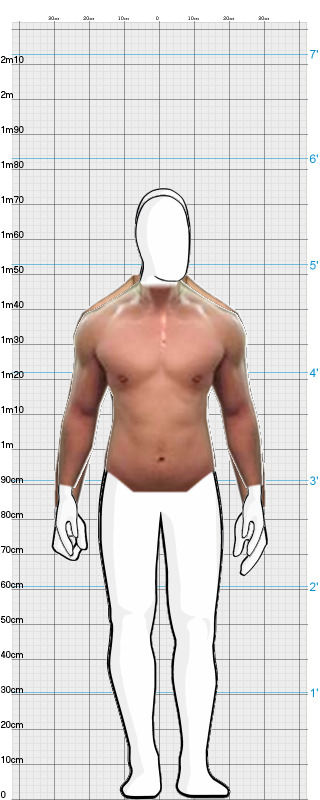 Full Size Comparison