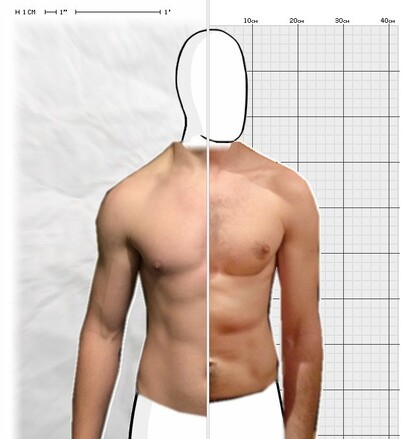 Torso Comparison