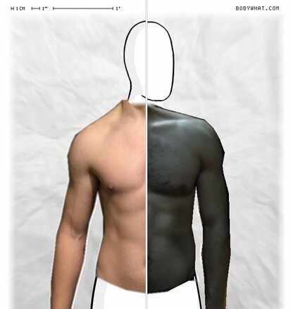 Torso Comparison