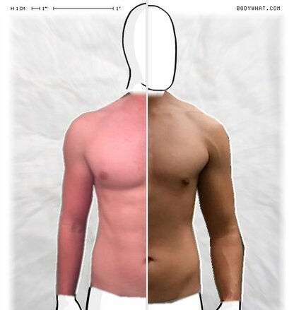 Torso Comparison