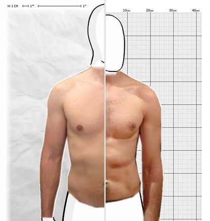 Torso Comparison