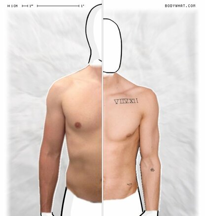 Torso Comparison