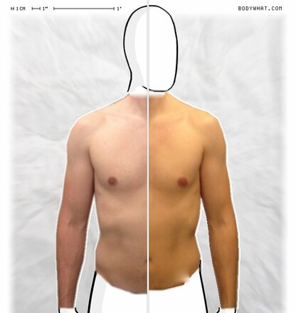 Torso Comparison