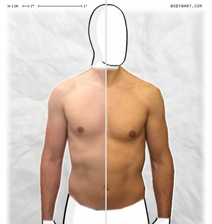 Torso Comparison