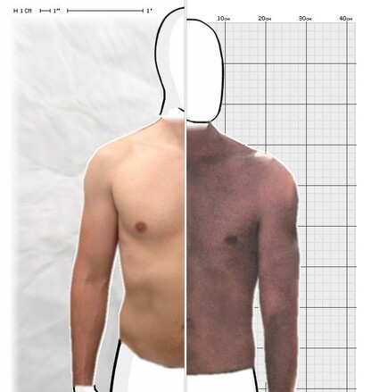 Torso Comparison