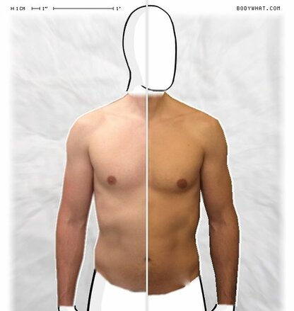 Torso Comparison