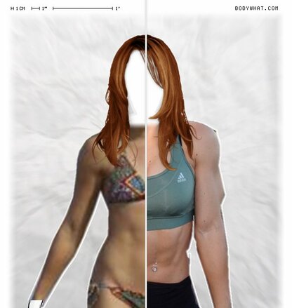 Torso Comparison