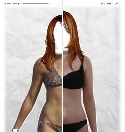 Torso Comparison