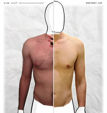 Torso Comparison