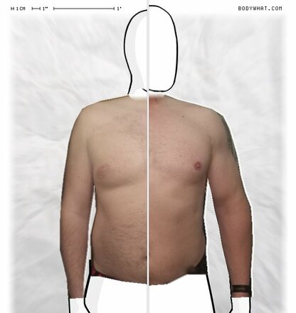 Torso Comparison