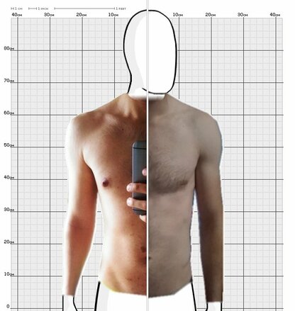 Torso Comparison