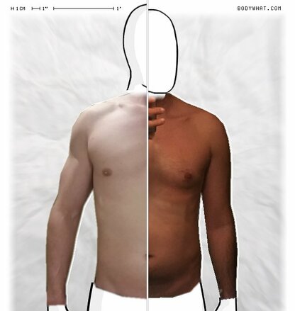 Torso Comparison