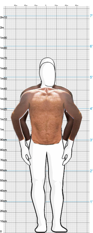 Full Size Comparison