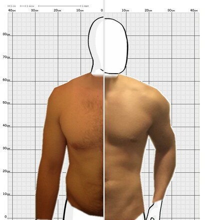 Torso Comparison