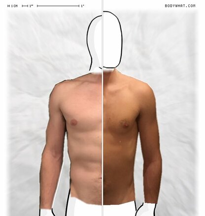 Torso Comparison