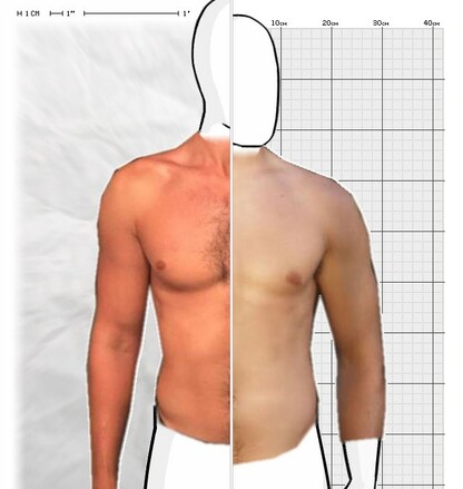 Torso Comparison