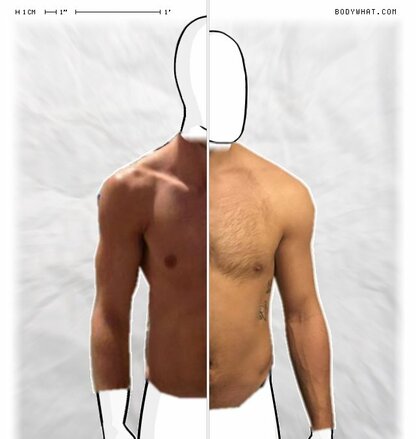 Torso Comparison