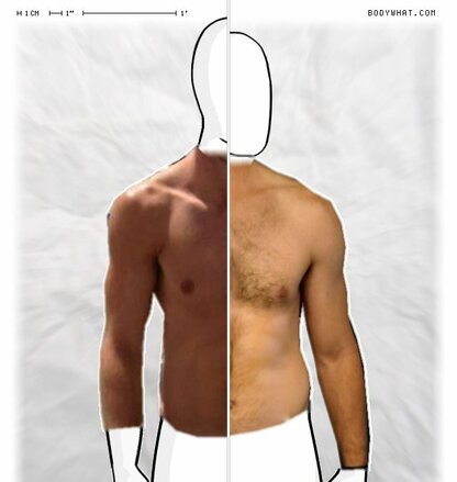 Torso Comparison