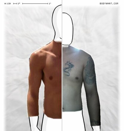 Torso Comparison