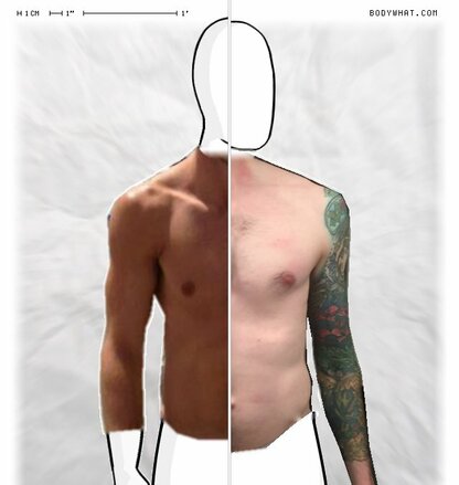 Torso Comparison