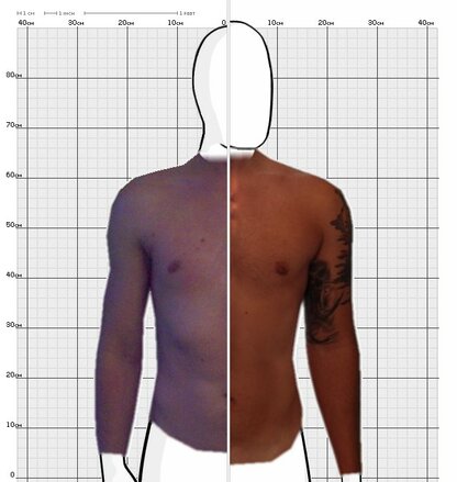 Torso Comparison