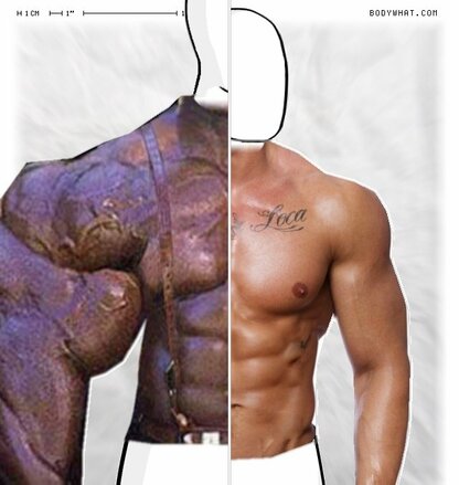 Torso Comparison