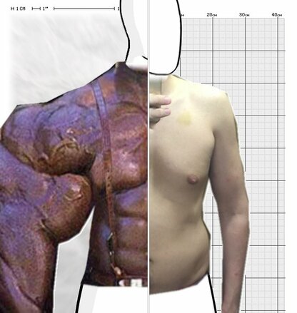 Torso Comparison