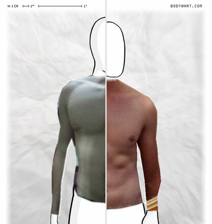 Torso Comparison