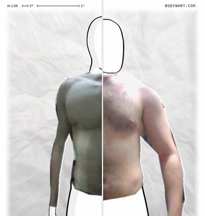 Torso Comparison