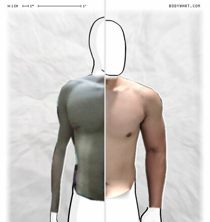 Torso Comparison