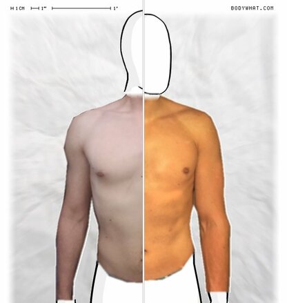 Torso Comparison