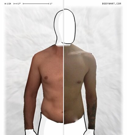 Torso Comparison