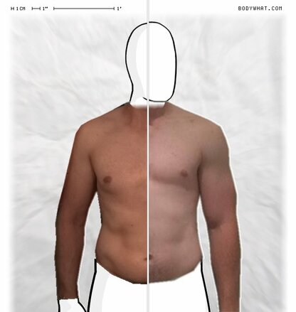 Torso Comparison